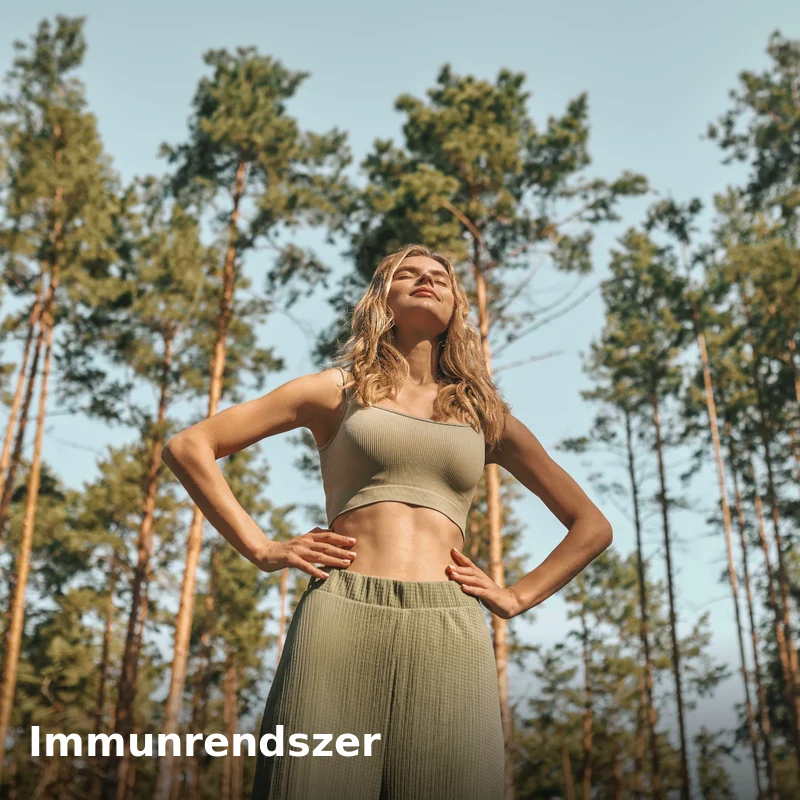 Immunrendszer