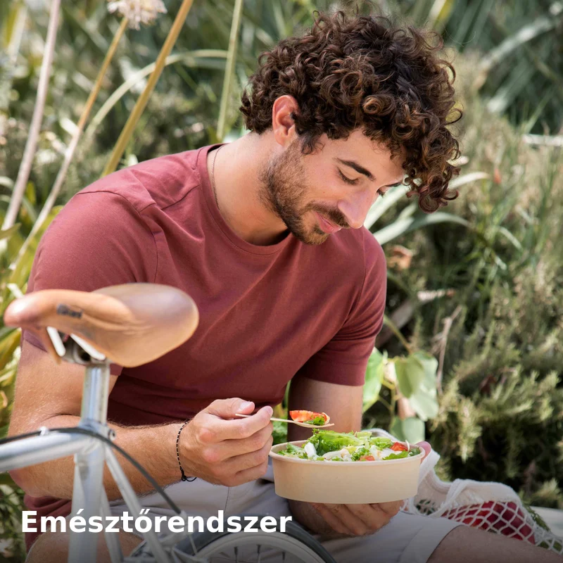 Emésztőrendszer