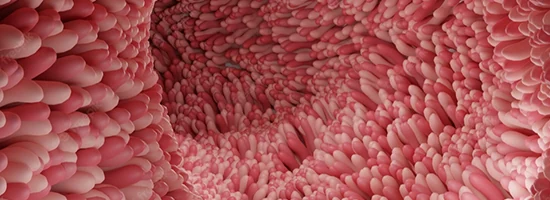Placeholder kép – max 900px széles (16:9)